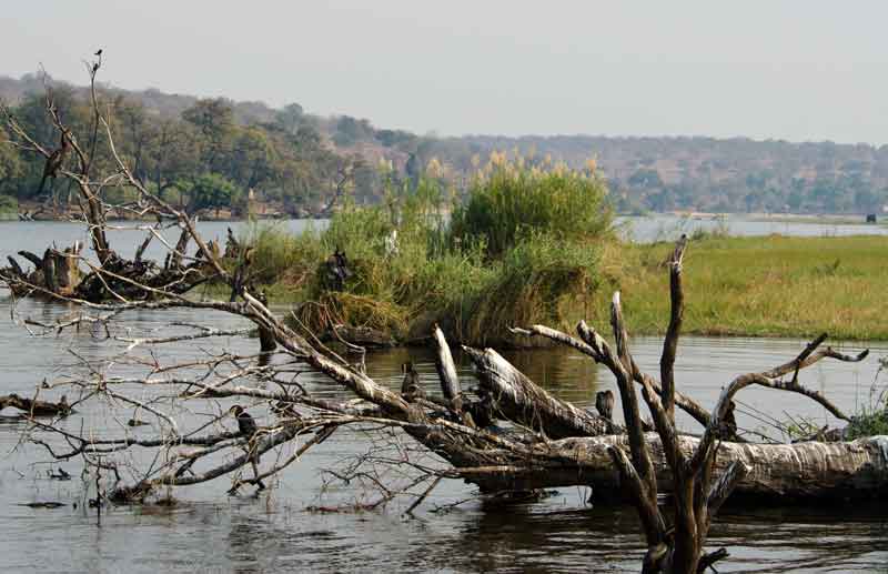 11 - Botswana - parque nacional de Chobe - paisaje